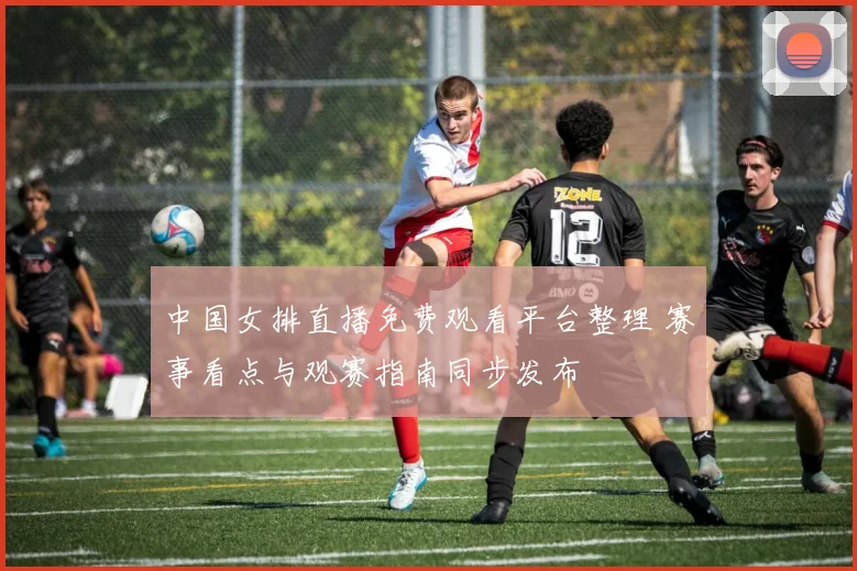 中国女排直播免费观看平台整理 赛事看点与观赛指南同步发布